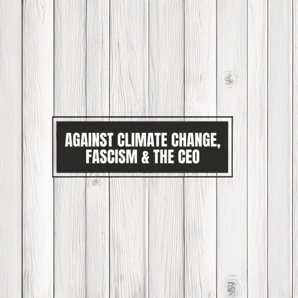 Anti Elon Tesla Bumper Magnet, Anti MAGA Car Magnet Bumper Sticker