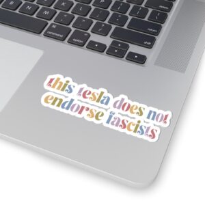 This Tesla Does Not Endorse Fascists Stickers